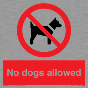 No dogs allowed